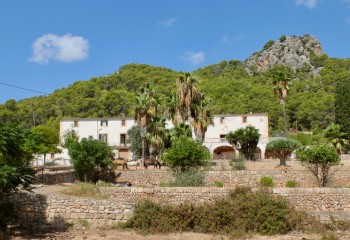 View Full Details for Andratx, SW Mallorca, Spain, , International, 1489637