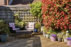 Images for Chalder Lane, Sidlesham, PO20