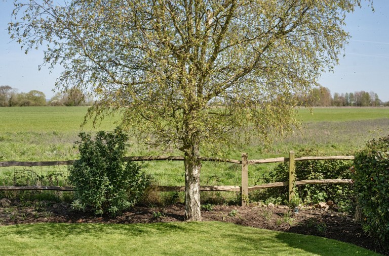 Images for Chalder Lane, Sidlesham, PO20