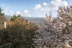 Images for Lodsworth, Petworth, GU28