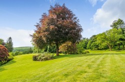 Images for Lythe Hill Park, Haslemere, GU27