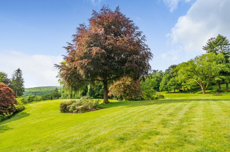 Images for Lythe Hill Park, Haslemere, GU27