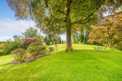 Images for Lythe Hill Park, Haslemere, GU27