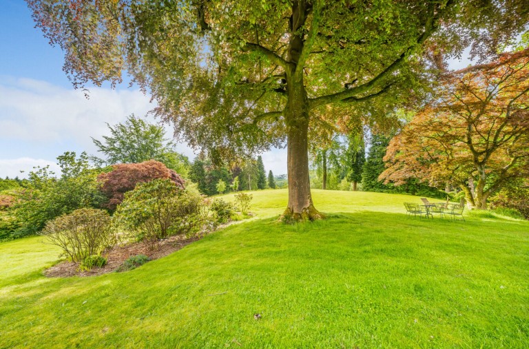 Images for Lythe Hill Park, Haslemere, GU27