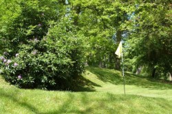 Images for Lythe Hill Park, Haslemere, GU27