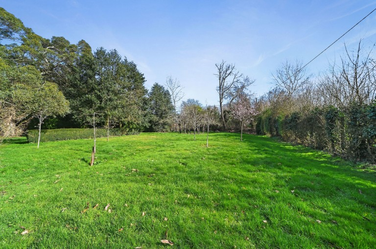 Images for Polstead, Suffolk, Colchester