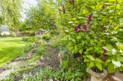 Images for Sudbury, Suffolk, Sudbury