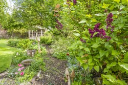 Images for Sudbury, Suffolk, Sudbury