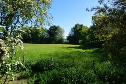 Images for Halstead, Essex, Halstead