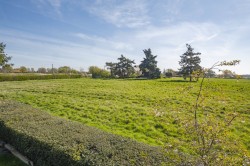 Images for Essex, Colchester