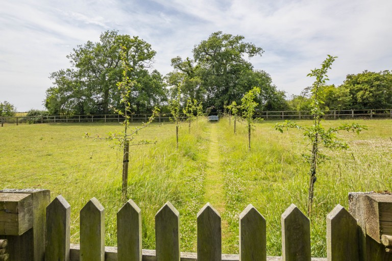 Images for Suffolk, Ipswich