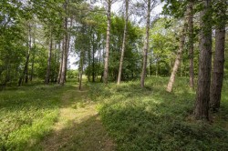 Images for Suffolk, Ipswich