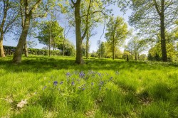 Images for Long Melford, Suffolk, Sudbury