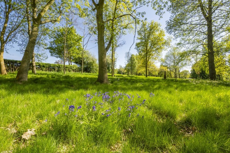 Images for Long Melford, Suffolk, Sudbury