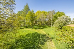Images for Long Melford, Suffolk, Sudbury