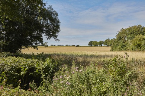 Click the photo for more details of Bury St Edmunds, Suffolk, Bury St. Edmunds