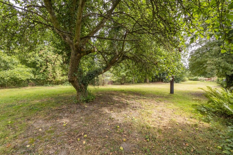 Images for Colchester, Essex, Colchester