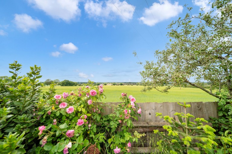 Images for Sudbury, Suffolk, Sudbury