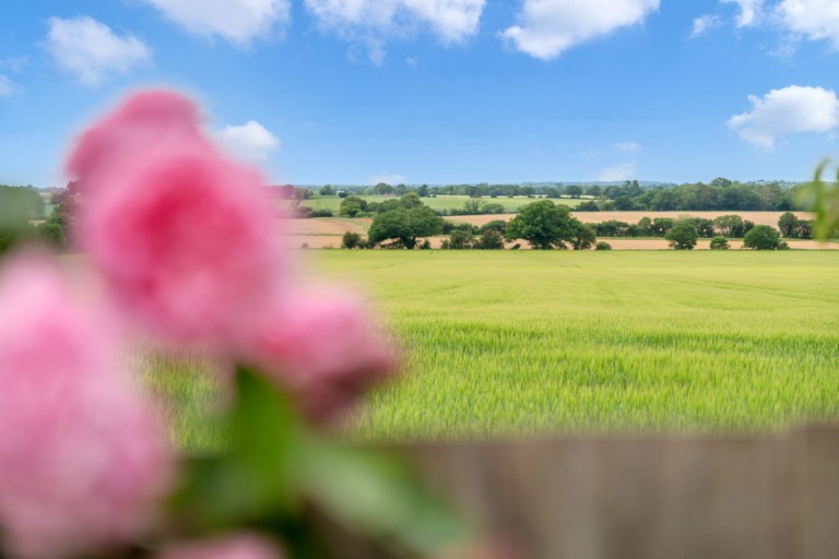 Images for Sudbury, Suffolk, Sudbury