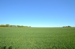 Images for Halstead, Essex, Halstead