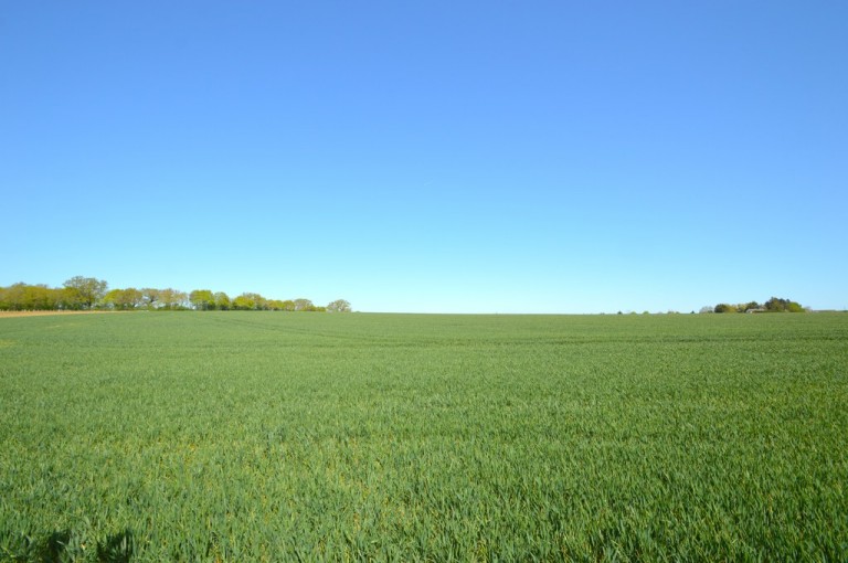 Images for Halstead, Essex, Halstead