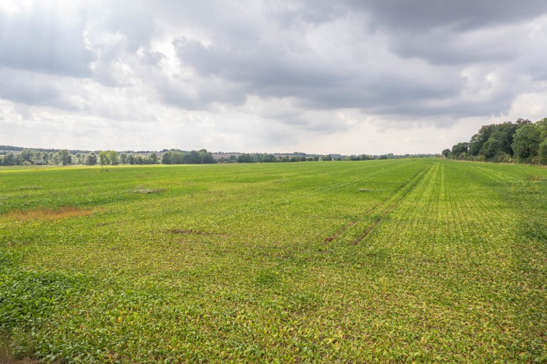 Images for Sudbury, Suffolk, Sudbury