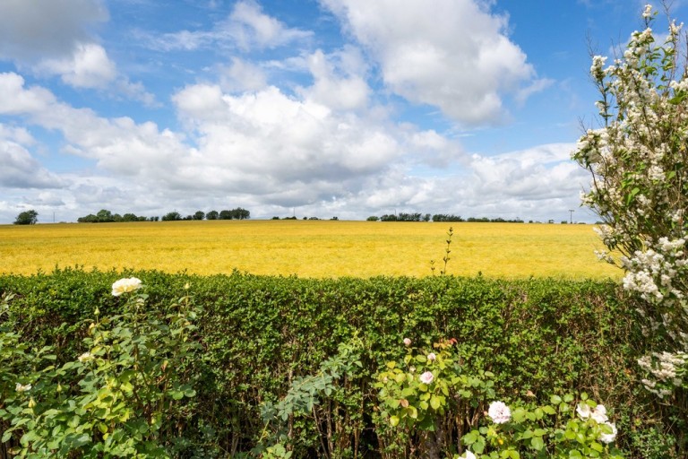 Images for Sudbury, Suffolk, Sudbury