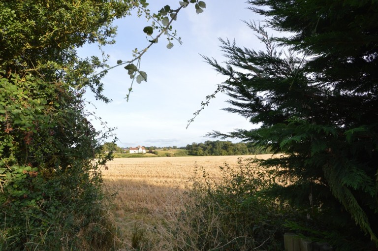 Images for Castle Hedingham, Halstead
