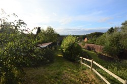 Images for Castle Hedingham, Halstead