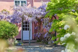 Images for Sudbury, Suffolk, Sudbury