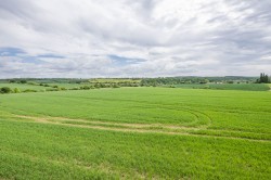 Images for Sudbury, Suffolk, Sudbury