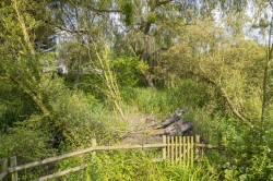 Images for Sudbury, Suffolk, Sudbury