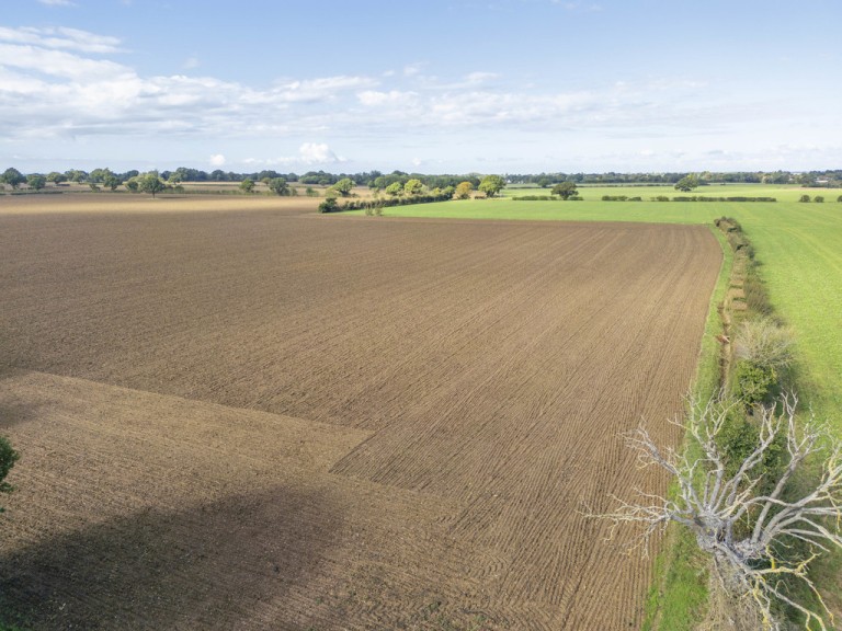 Images for Sudbury, Suffolk, Sudbury