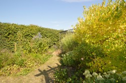 Images for Gosfield, Essex, Halstead