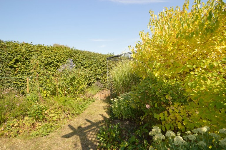 Images for Gosfield, Essex, Halstead