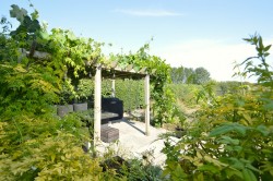 Images for Gosfield, Essex, Halstead