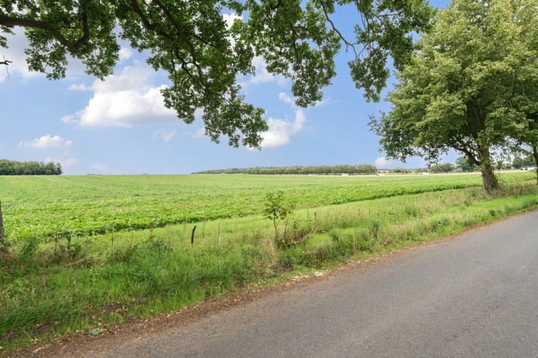 Images for Bury St.Edmunds, Suffolk., Culford