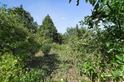 Images for Colchester, Suffolk, Colchester