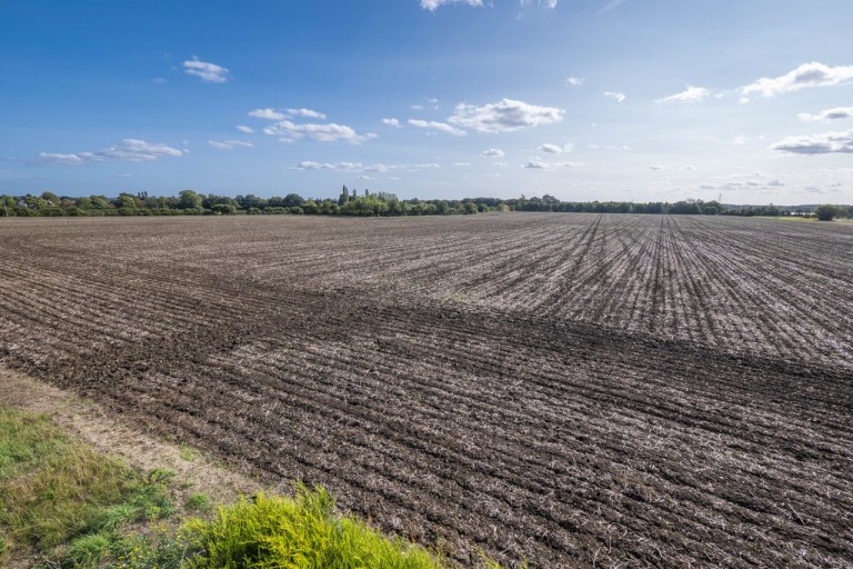 Images for Sudbury, Suffolk, Sudbury