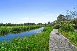 Images for Colchester, Suffolk, Colchester