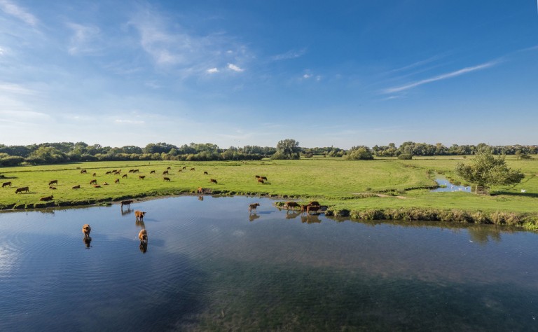 Images for Suffolk, Sudbury