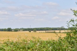 Images for Sudbury, Suffolk, Sudbury