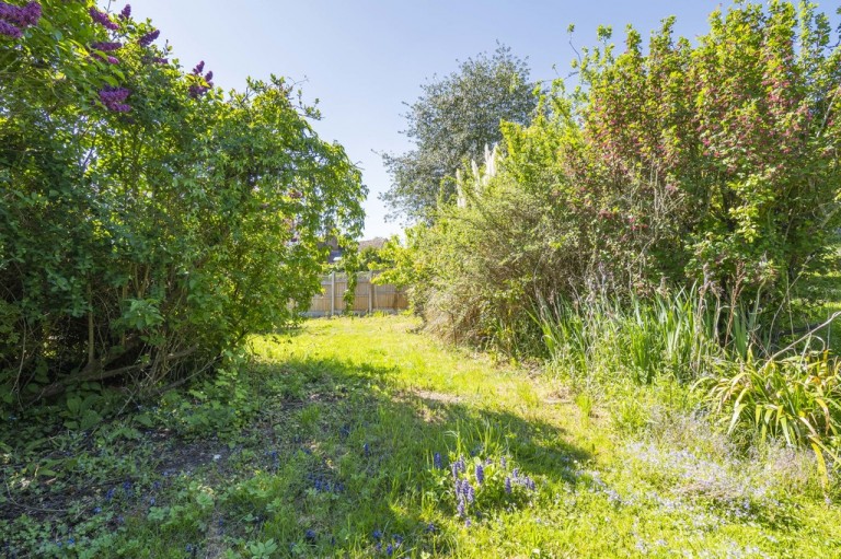 Images for Colchester, Suffolk, Colchester