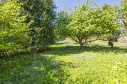 Images for Colchester, Suffolk, Colchester
