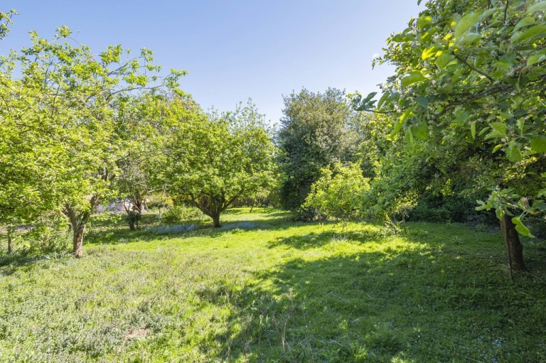 Images for Colchester, Suffolk, Colchester