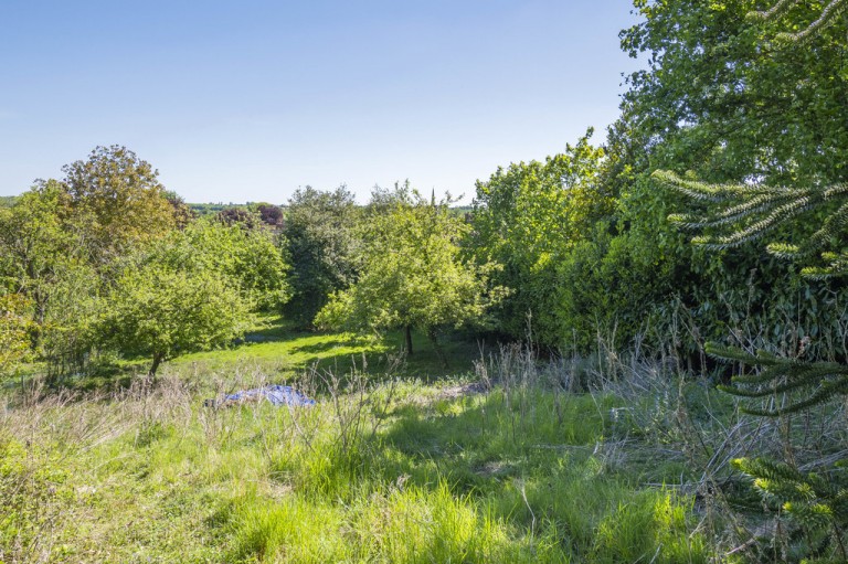 Images for Colchester, Suffolk, Colchester