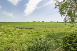 Images for Suffolk, Sudbury