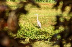 Images for Lavenham, Suffolk, Sudbury