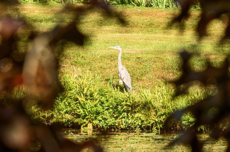 Images for Lavenham, Suffolk, Sudbury