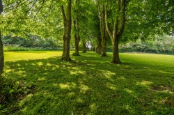 Images for Lavenham, Suffolk, Sudbury